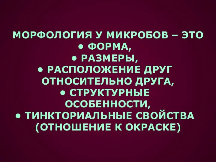 МОРФОЛОГИЯ У МИКРОБОВ – ЭТО ФОРМА, РАЗМЕРЫ, РАСПОЛОЖЕНИЕ ДРУГ ОТНОСИТЕЛЬНО ДРУГА,