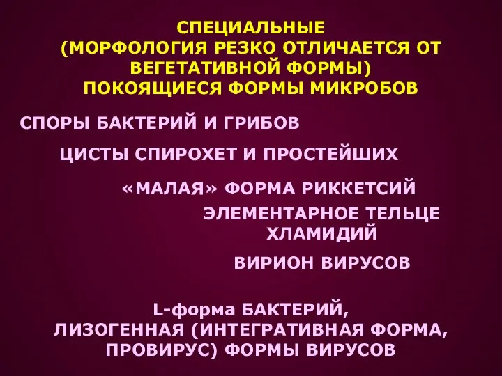 СПЕЦИАЛЬНЫЕ (МОРФОЛОГИЯ РЕЗКО ОТЛИЧАЕТСЯ ОТ ВЕГЕТАТИВНОЙ ФОРМЫ) ПОКОЯЩИЕСЯ ФОРМЫ МИКРОБОВ СПОРЫ