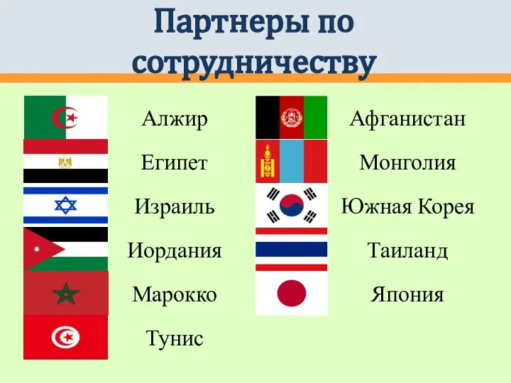 Партнеры по сотрудничеству