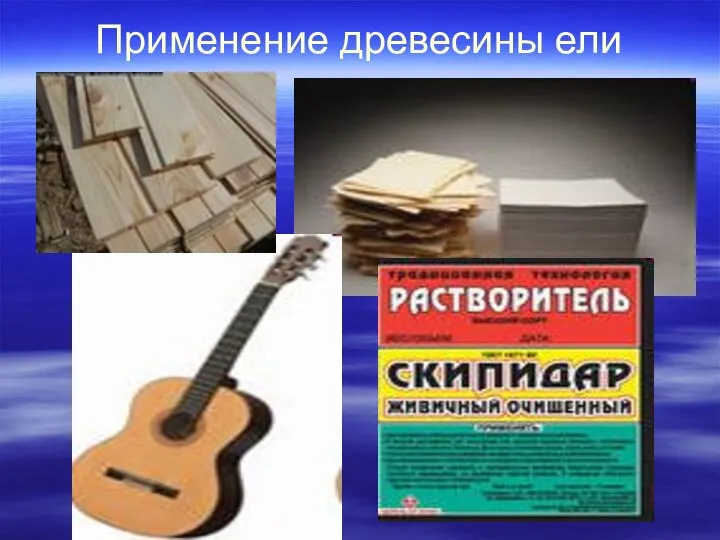 Применение древесины ели