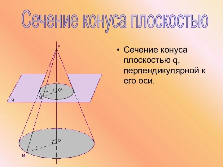 Сечение конуса плоскостью q, перпендикулярной к его оси. Сечение конуса плоскостью