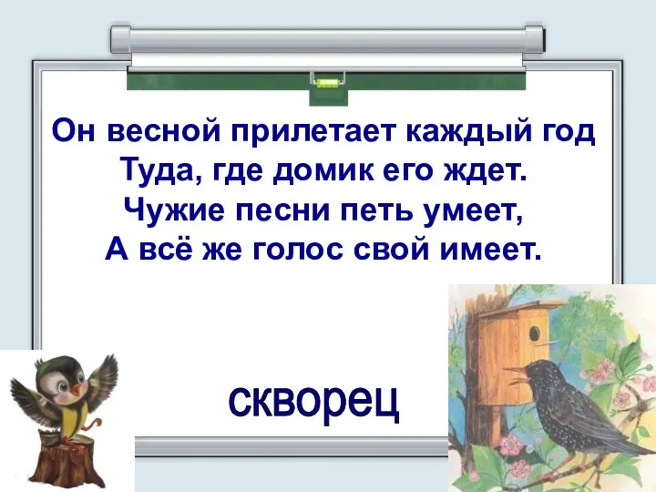 Он весной прилетает каждый год Туда, где домик его ждет. Чужие