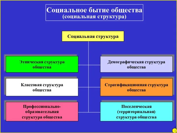 Социальное бытие общества (социальная структура) Социальная структура Этническая структура общества Классовая