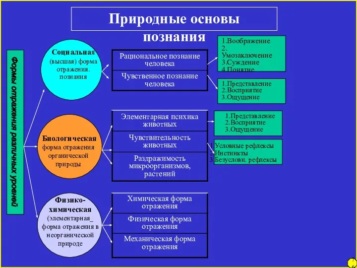 Природные основы познания Формы отражения различных уровней Социальная (высшая) форма отражения.