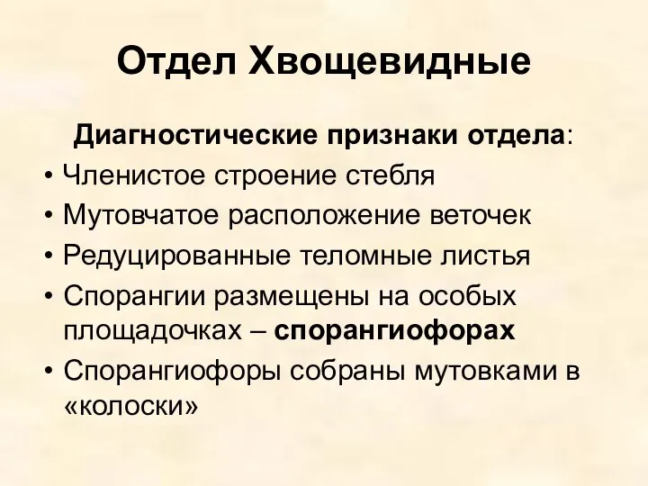 Отдел Хвощевидные Диагностические признаки отдела: Членистое строение стебля Мутовчатое расположение веточек