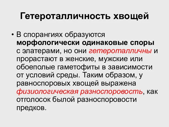 Гетероталличность хвощей В спорангиях образуются морфологически одинаковые споры с элатерами, но