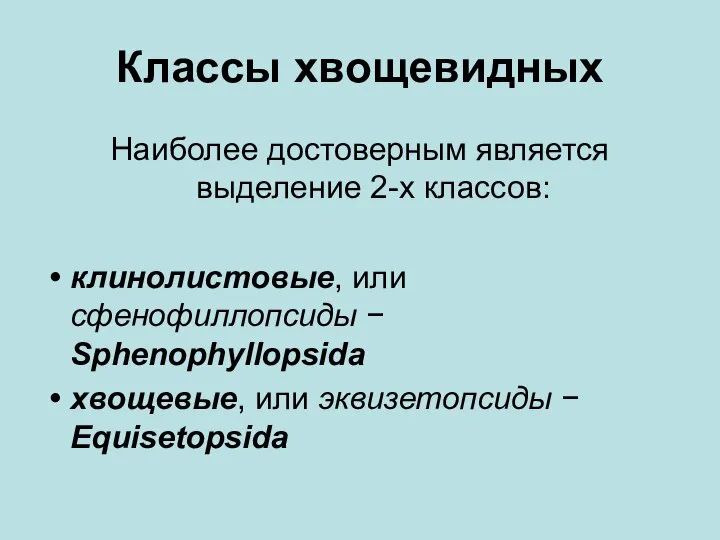 Классы хвощевидных Наиболее достоверным является выделение 2-х классов: клинолистовые, или сфенофиллопсиды