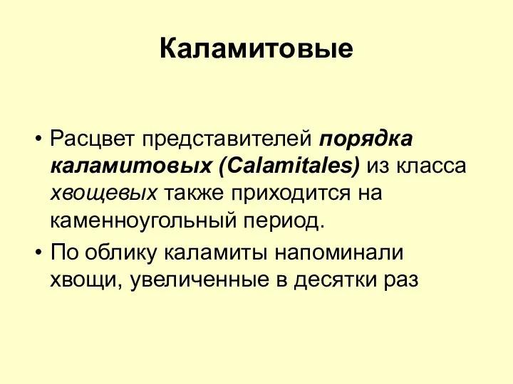 Каламитовые Расцвет представителей порядка каламитовых (Calamitales) из класса хвощевых также приходится