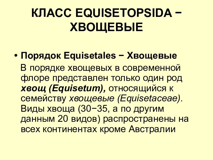 КЛАСС EQUISETOPSIDA − ХВОЩЕВЫЕ Порядок Equisetales − Хвощевые В порядке хвощевых