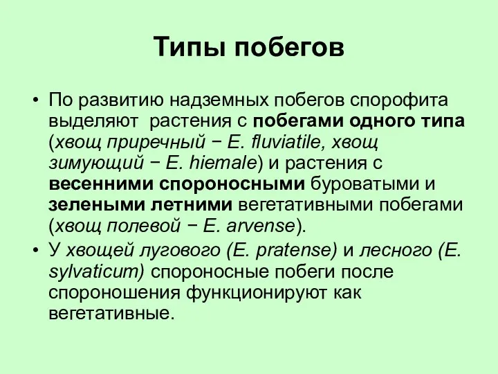 Типы побегов По развитию надземных побегов спорофита выделяют растения с побегами