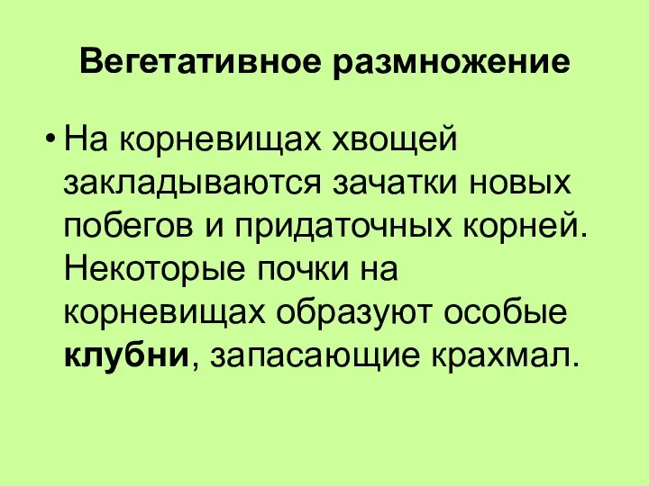 Вегетативное размножение На корневищах хвощей закладываются зачатки новых побегов и придаточных