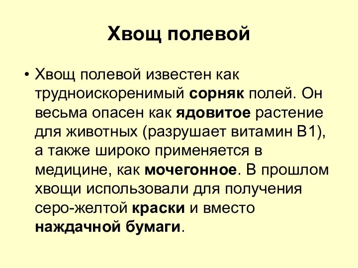 Хвощ полевой Хвощ полевой известен как трудноискоренимый сорняк полей. Он весьма