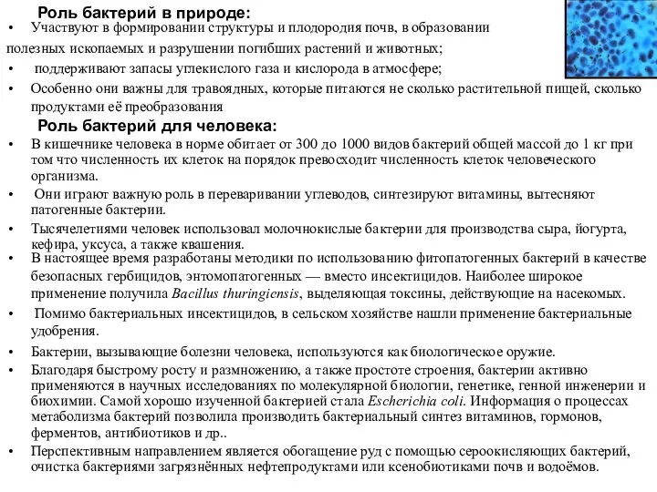 Участвуют в формировании структуры и плодородия почв, в образовании полезных ископаемых