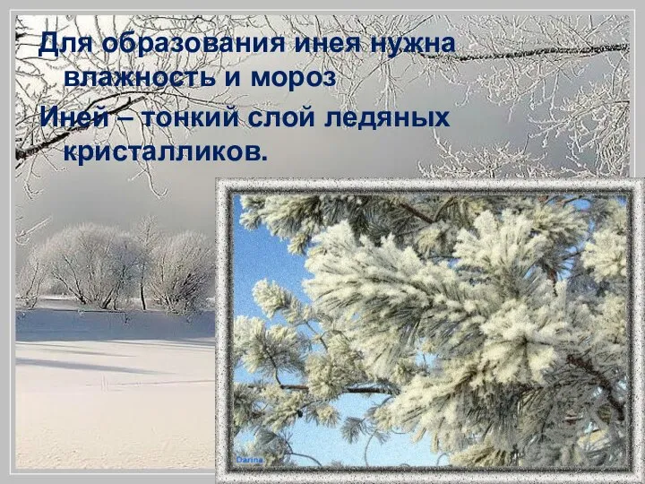 Для образования инея нужна влажность и мороз Иней – тонкий слой ледяных кристалликов.