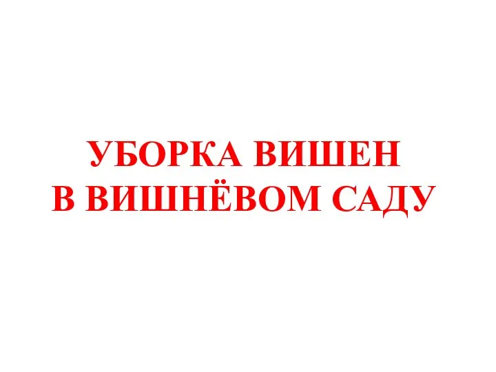 УБОРКА ВИШЕН В ВИШНЁВОМ САДУ