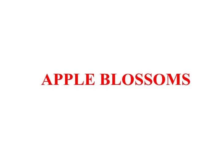 APPLE BLOSSOMS