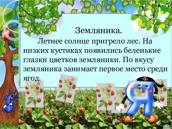 Земляника. Летнее солнце пригрело лес. На низких кустиках появились беленькие глазки