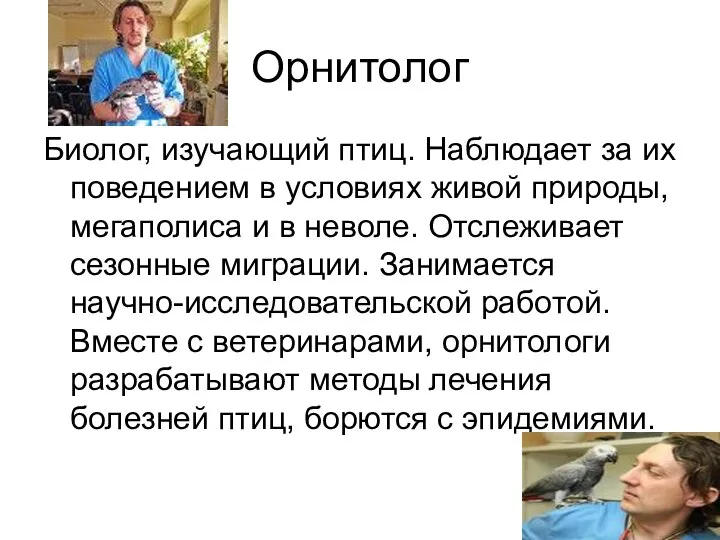 Орнитолог Биолог, изучающий птиц. Наблюдает за их поведением в условиях живой