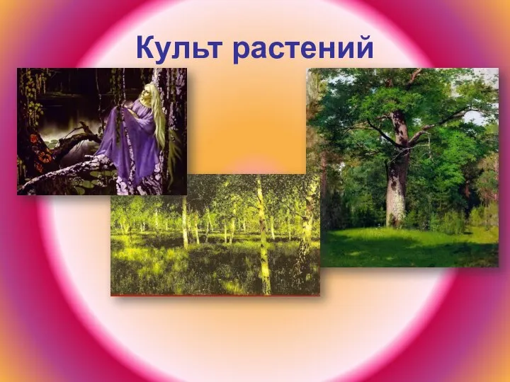 Культ растений