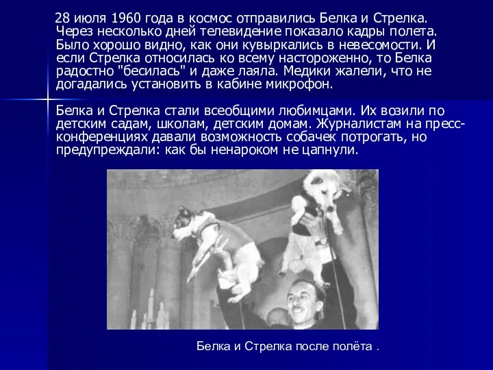 28 июля 1960 года в космос отправились Белка и Стрелка. Через