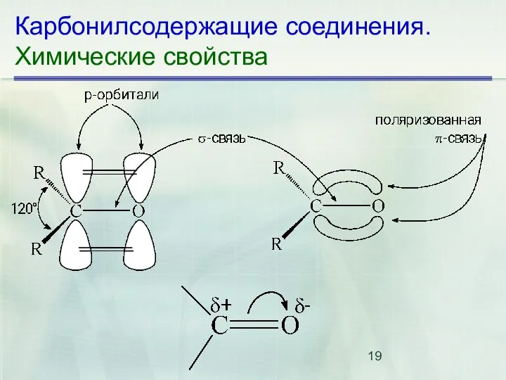 Карбонилсодержащие соединения. Химические свойства