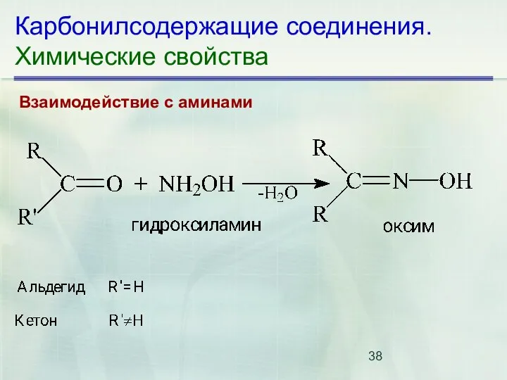 Карбонилсодержащие соединения. Химические свойства Взаимодействие с аминами