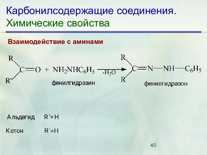 Карбонилсодержащие соединения. Химические свойства Взаимодействие с аминами