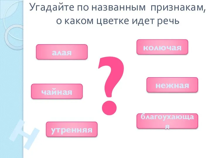 Угадайте по названным признакам, о каком цветке идет речь ? алая