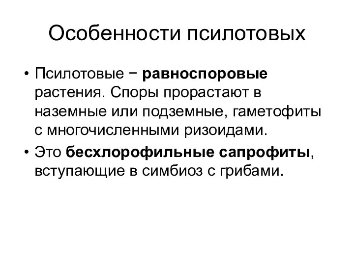 Особенности псилотовых Псилотовые − равноспоровые растения. Споры прорастают в наземные или