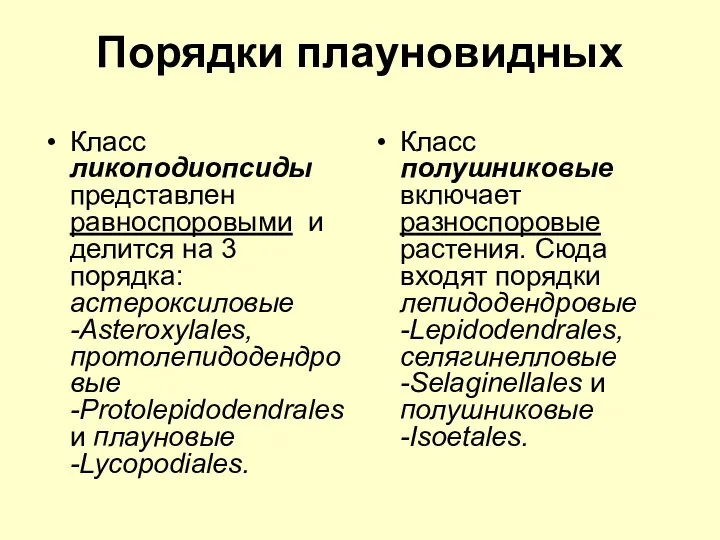 Порядки плауновидных Класс ликоподиопсиды представлен равноспоровыми и делится на 3 порядка: