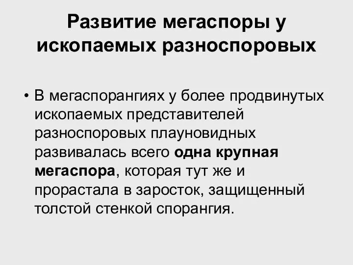 Развитие мегаспоры у ископаемых разноспоровых В мегаспорангиях у более продвинутых ископаемых