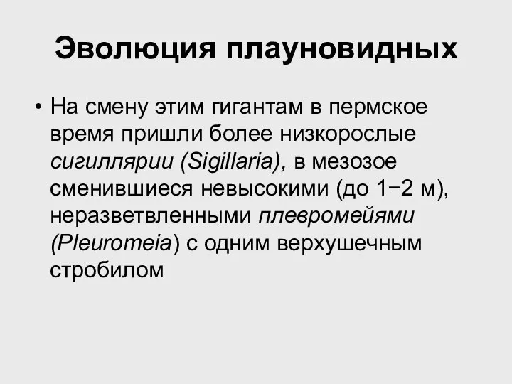 Эволюция плауновидных На смену этим гигантам в пермское время пришли более