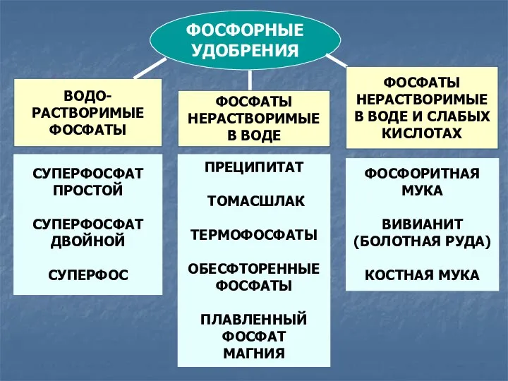 ФОСФОРНЫЕ УДОБРЕНИЯ СУПЕРФОСФАТ ПРОСТОЙ СУПЕРФОСФАТ ДВОЙНОЙ СУПЕРФОС ВОДО- РАСТВОРИМЫЕ ФОСФАТЫ ФОСФОРИТНАЯ