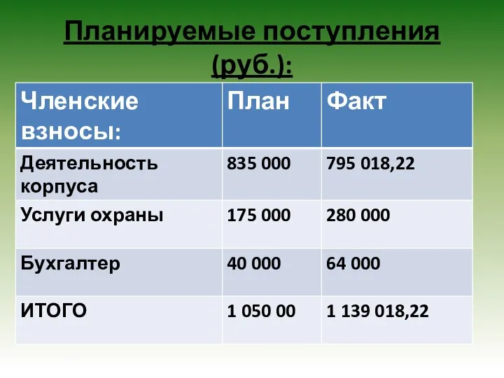 Планируемые поступления (руб.):