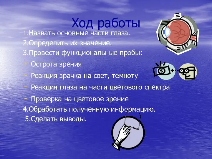 Ход работы 1.Назвать основные части глаза. 2.Определить их значение. 3.Провести функциональные