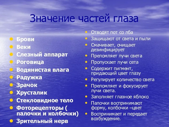 Значение частей глаза Брови Веки Слезный аппарат Роговица Водянистая влага Радужка