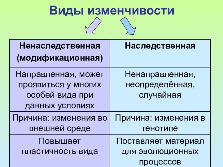 Виды изменчивости