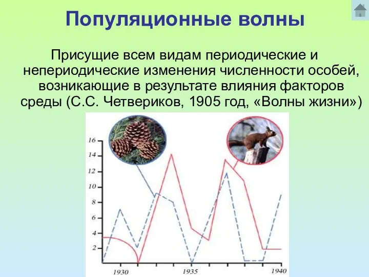 Популяционные волны Присущие всем видам периодические и непериодические изменения численности особей,