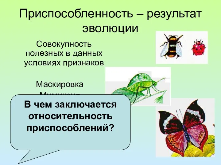 Приспособленность – результат эволюции Совокупность полезных в данных условиях признаков Маскировка