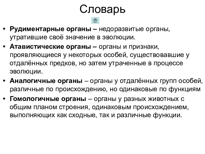 Словарь Рудиментарные органы – недоразвитые органы, утратившие своё значение в эволюции.