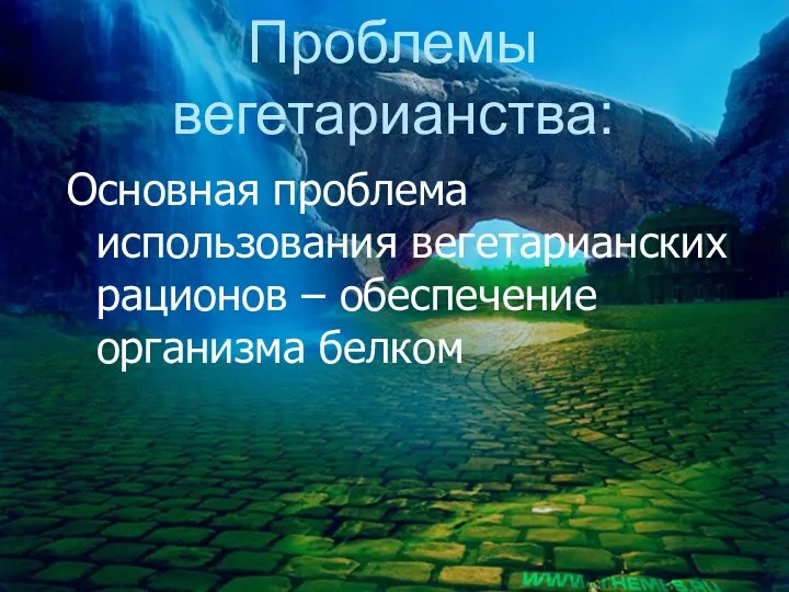 Проблемы вегетарианства: Основная проблема использования вегетарианских рационов – обеспечение организма белком