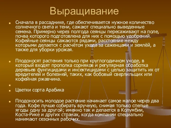 Выращивание Сначала в рассаднике, где обеспечивается нужное количество солнечного света и