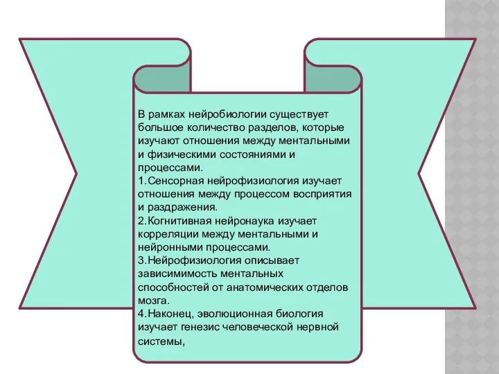 В рамках нейробиологии существует большое количество разделов, которые изучают отношения между