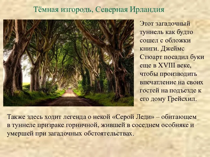 Тёмная изгородь, Северная Ирландия Этот загадочный туннель как будто сошел с