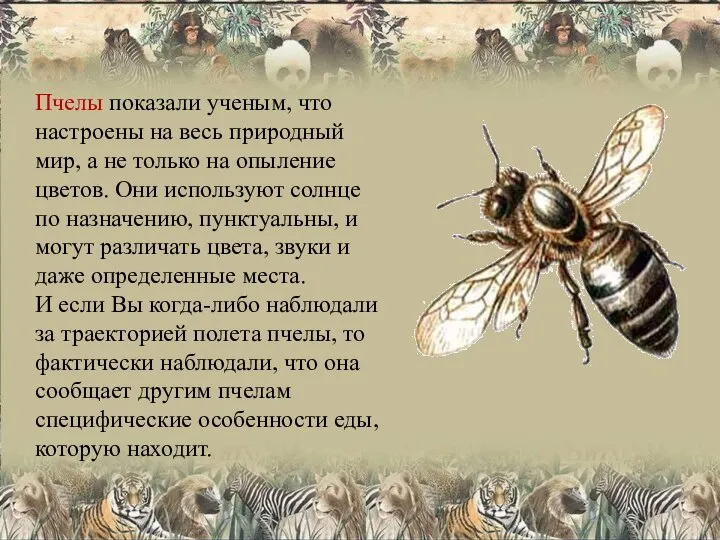 Пчелы показали ученым, что настроены на весь природный мир, а не