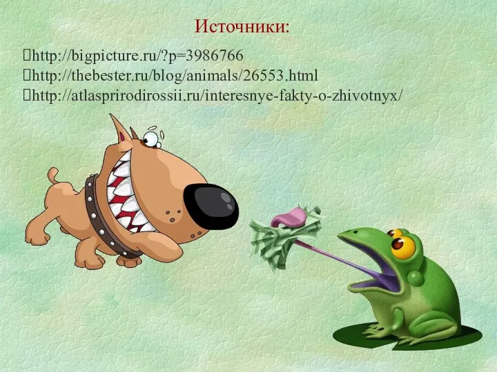 http://bigpicture.ru/?p=3986766 http://thebester.ru/blog/animals/26553.html http://atlasprirodirossii.ru/interesnye-fakty-o-zhivotnyx/ Источники: