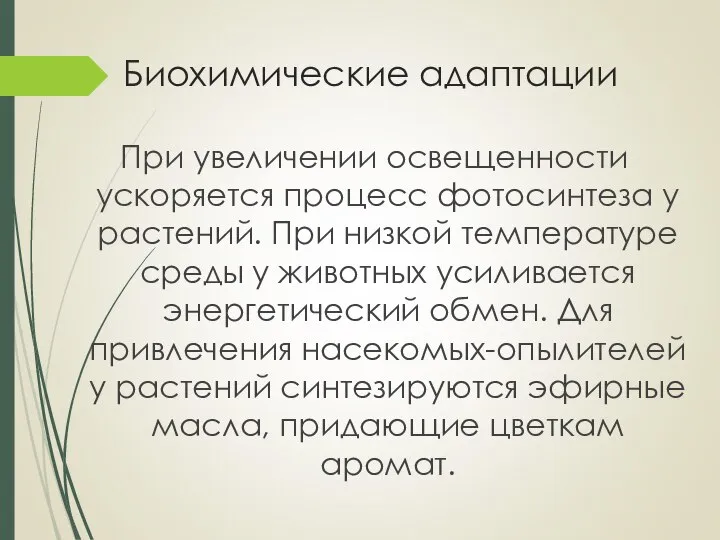 Биохимические адаптации При увеличении освещенности ускоряется процесс фотосинтеза у растений. При