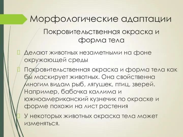 Морфологические адаптации Делают животных незаметными на фоне окружающей среды Покровительственная окраска