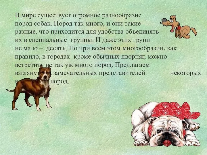 В мире существует огромное разнообразие пород собак. Пород так много, и