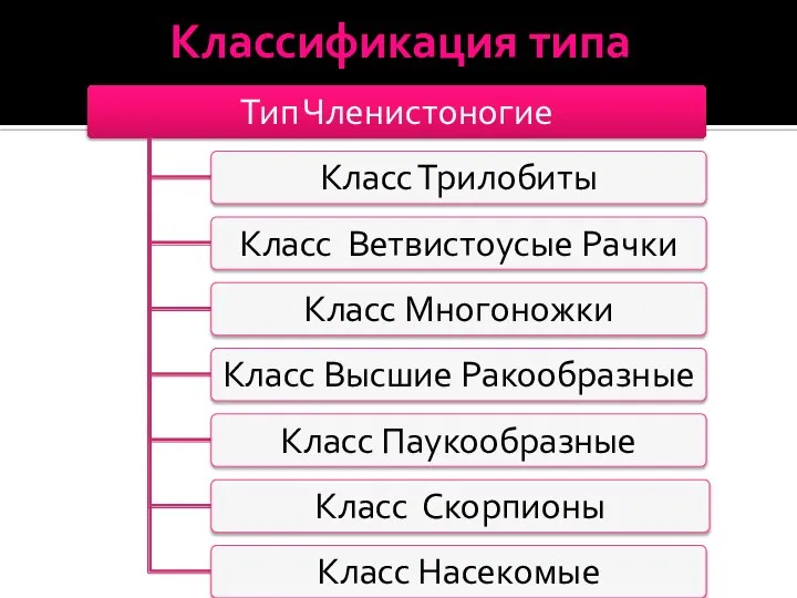 Классификация типа